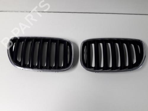 Grill BMW X5 (E53) 3.0 i (231 hp) 22459067