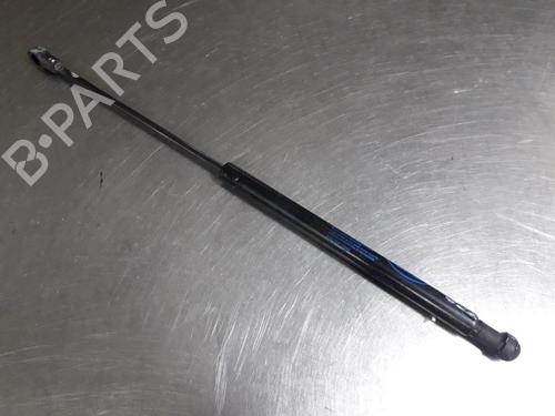 Used Hood lift support LAND ROVER RANGE ROVER SPORT I (L320) 3.6 D 4x4 (272 hp) 22457908