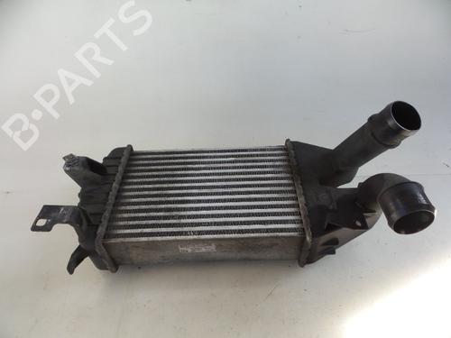 Used Intercooler OPEL ZAFIRA / ZAFIRA FAMILY B (A05) 1.9 CDTI (M75) (120 hp) 22480687