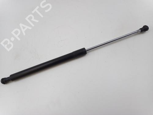 Used Tailgate lift support RENAULT CLIO III (BR0/1, CR0/1) 1.5 dCi (88 hp) 22496333
