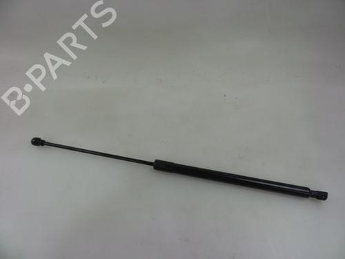 Used Hood lift support DACIA SANDERO II TCe 90 (B8M1, B8MA, B8AC) (90 hp) 22481962