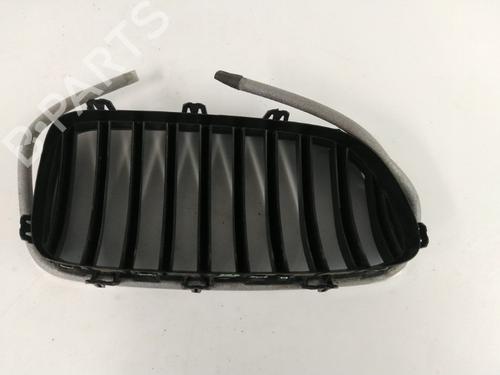 Grille BMW 5 Touring (F11) 520 d | BP23981469C40 