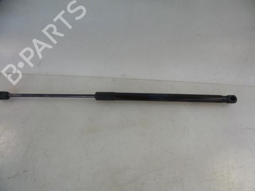 Used Tailgate lift support SKODA RAPID (NH3, NK3, NK6) 1.2 TSI (86 hp) 22484982