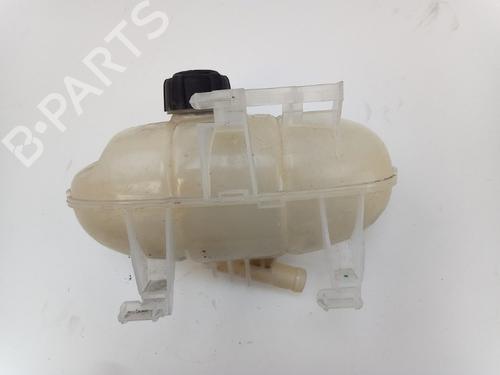 Used Expansion tank RENAULT KANGOO / GRAND KANGOO II (KW0/1_) 1.2 TCe 115 (KW02, KW14) (115 hp) 22492495