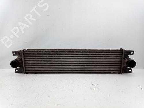 Intercooler RENAULT MASTER II Van (FD) 2.5 dCi 100 (FD0U, FD0V, FD3U, FD3V, FD8U, FD8V) (99 hp) 22494728