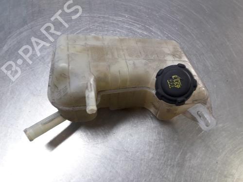 Used Expansion tank RENAULT GRAND SCÉNIC II (JM0/1_) 1.9 dCi (JM0G, JM12, JM1G, JM2C) (120 hp) 22456630