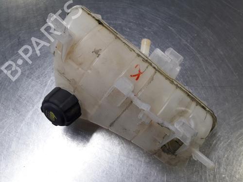 Used Expansion tank RENAULT KANGOO Express (FW0/1_) 1.5 dCi 70 (FW0A, KW0V) (68 hp) 22461587