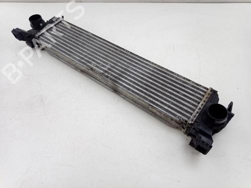 Intercooler MERCEDES-BENZ VITO Van (W447) 109 CDI (447.601, 447.603, 447.605) (88 hp) 32394738