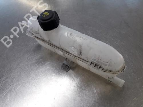 Used Expansion tank RENAULT ZOE (BFM_) ZOE (88 hp) 22492114