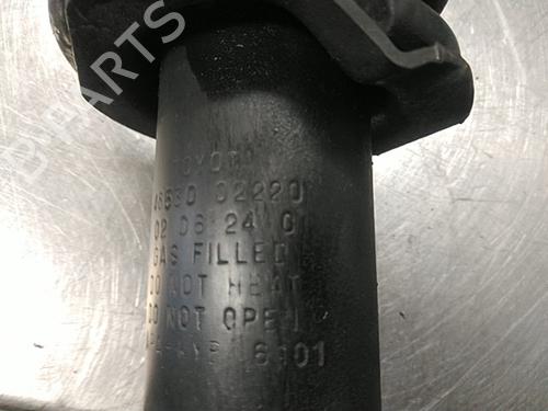 Left rear shock absorber TOYOTA COROLLA (_E12_) 1.6 VVT-i (ZZE121_, ZZE121R) | BP22451505M18 