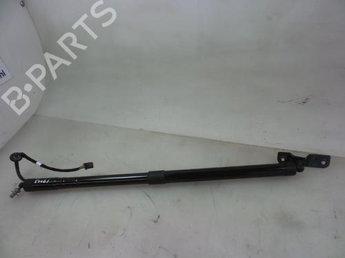 Gassdemper Bakluke FORD C-MAX II (DXA/CB7, DXA/CEU) 1.6 EcoBoost (150 hp) 22489297