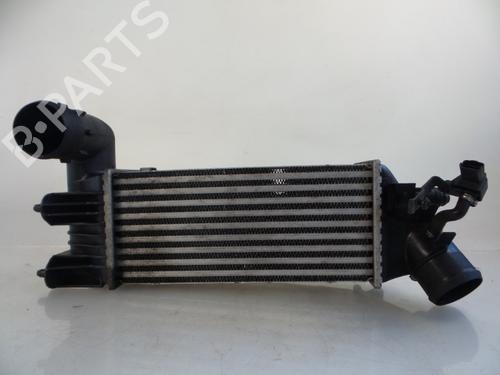 Intercooler CITROËN C5 I (DC_) 2.0 HDi (DCRHZB, DCRHZE) | BP22476163M30