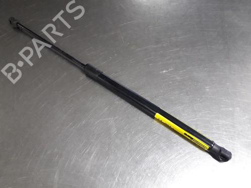 Used Tailgate lift support FORD FIESTA VI (CB1, CCN) 1.25 (60 hp) 22467254