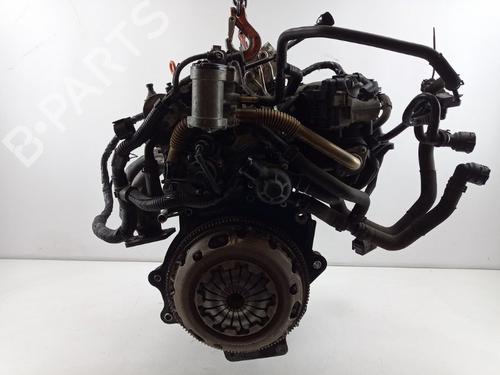 Motor VW GOLF V (1K1) 1.6 FSI | BP22514824M1 