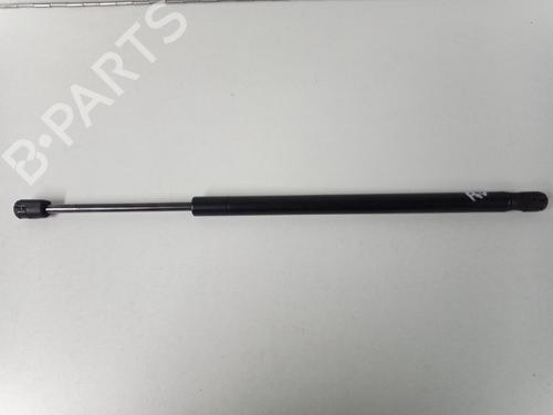 Used Hood lift support TESLA MODEL S (5YJS) 70 (320 hp) 22500419