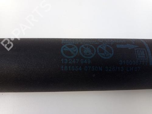 Tailgate lift support OPEL INSIGNIA A Sports Tourer (G09) 2.0 CDTI (35) | BP22496178C138 