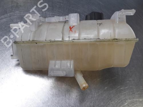 Expansion tank RENAULT KANGOO Express (FW0/1_) 1.5 dCi 70 (FW0A, KW0V) | BP22461587C120 