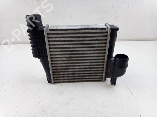 Intercooler DS DS 7 (J4_, JC_) E-TENSE 225 (J4DGZU) | BP32480968M30 