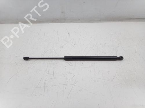 Used Tailgate lift support VW GOLF VII Variant (BA5, BV5) 1.6 TDI (110 hp) 22495545