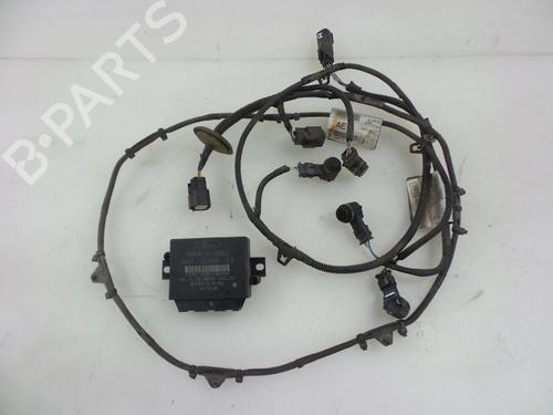 Used Electronic module FORD TRANSIT CUSTOM V362 Van (FY, FZ) 2.2 TDCi (125 hp) 22486552