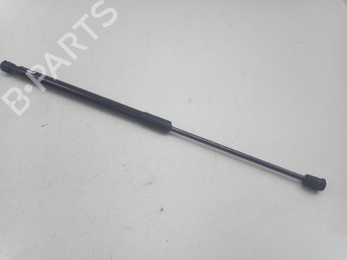 Used Hood lift support KIA EV6 (CV) 58 (170 hp) 31049081