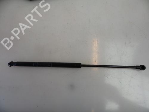 Gassdemper Bakluke FIAT 500 (312_) 1.2 (312AXA1A) (69 hp) 22474919