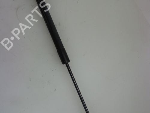 Used Tailgate lift support CITROËN C3 II (SC_) 1.4 (73 hp) 22486191