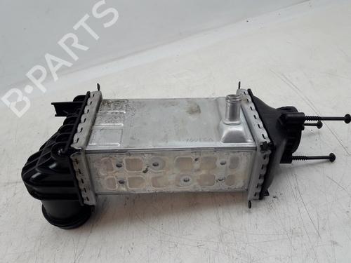 Intercooler VW GOLF VIII (CD1, DA1) 1.0 eTSI | BP22500222M30 