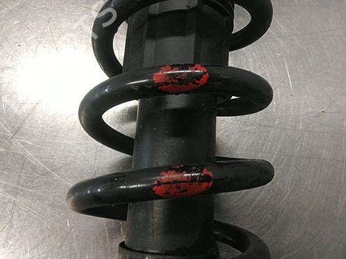 Right rear shock absorber TOYOTA COROLLA Verso (ZER_, ZZE12_, R1_) 1.8 (ZNR11_, ZNR11R) | BP22460060M19 