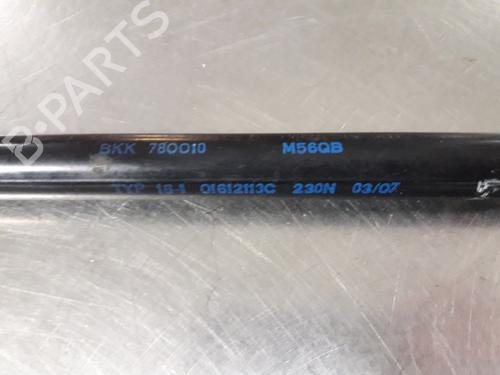Hood lift support LAND ROVER RANGE ROVER SPORT I (L320) 3.6 D 4x4 | BP22494744C139 