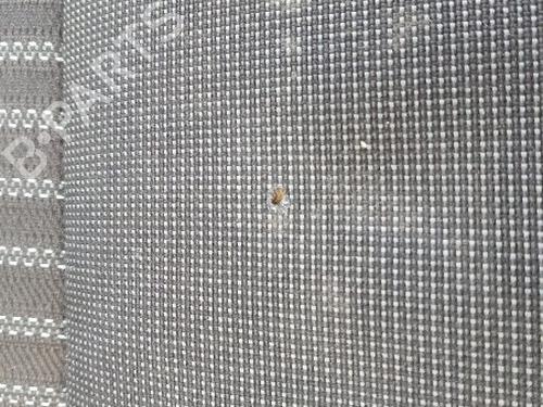 Left front seat FORD TRANSIT CUSTOM V362 Van (FY, FZ) 2.0 EcoBlue | BP32350298C15