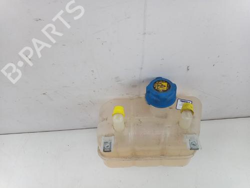 Ekpansionstank FIAT DUCATO Platform/Chassis (250_) 130 Multijet 2,3 D | BP31298247C120