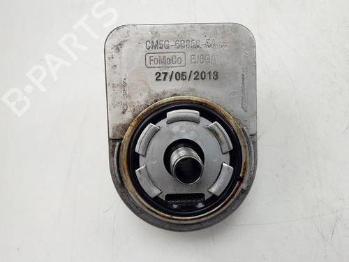Oil radiator FORD FOCUS III Turnier 1.0 EcoBoost | BP22498590M33