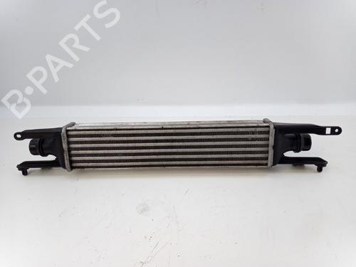 Intercooler OPEL CORSA D (S07) 1.3 CDTI (L08, L68) (75 hp) 22496321