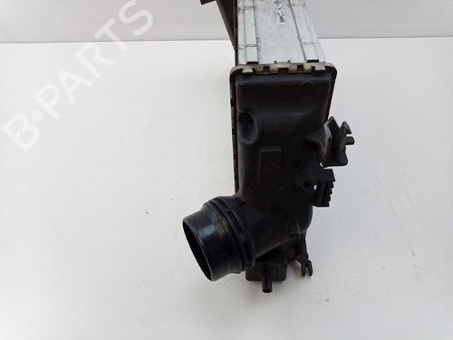 Intercooler NISSAN QASHQAI II (J11, J11_) 1.5 dCi | BP22492476M30