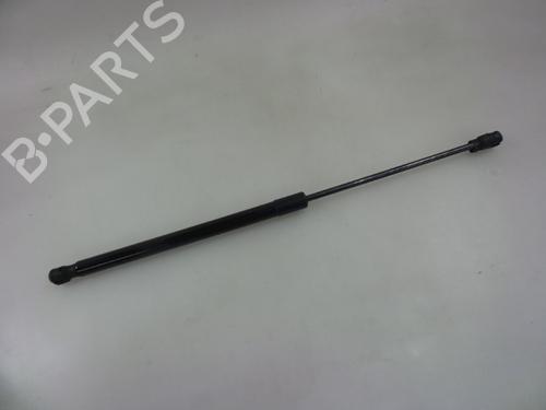 Used Tailgate lift support FORD FIESTA VI (CB1, CCN) 1.0 EcoBoost (100 hp) 22483449