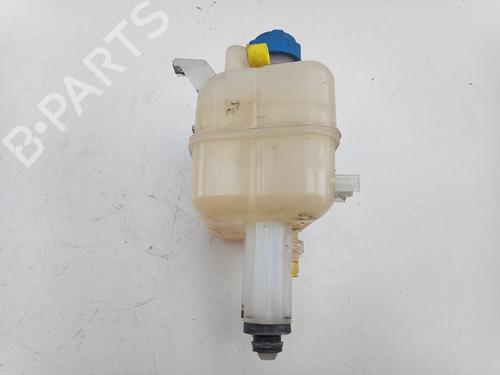 Ekpansionstank FIAT DUCATO Platform/Chassis (250_) 130 Multijet 2,3 D | BP31298247C120