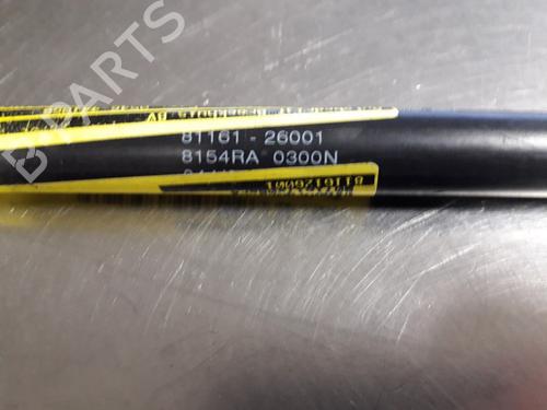 Hood lift support HYUNDAI SANTA FÉ I (SM) 2.0 | BP22452853C139 