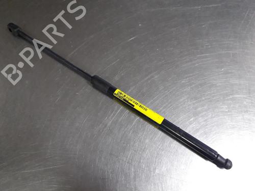 Used Tailgate lift support SKODA FABIA II (542) 1.2 (60 hp) 22456348