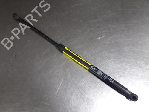 Used Tailgate lift support KIA PICANTO I (SA) 1.0 (61 hp) 22452433