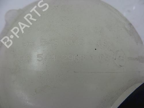 Expansion tank CITROËN BERLINGO MULTISPACE (B9) 1.6 BlueHDi 100 | BP22486624C120 