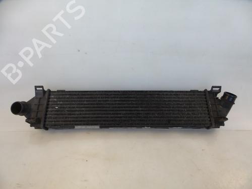 Used Intercooler FORD S-MAX (WA6) 2.0 TDCi (140 hp) 22482737
