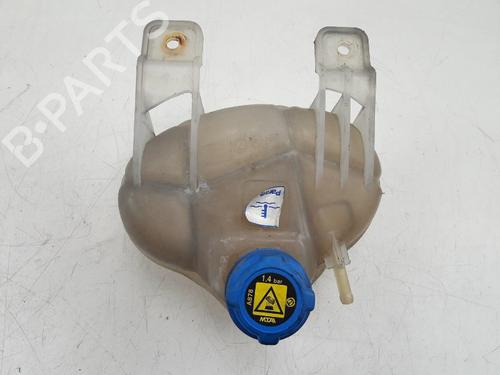 Used Expansion tank FIAT GRANDE PUNTO (199_) 1.4 (199AXB11, 199AXB1A, 199BXB1A, 199AXL1A) (77 hp) 22507356