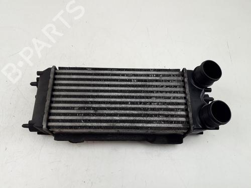 Intercooler FORD FIESTA VI (CB1, CCN) 1.6 TDCi (95 hp) 22503057