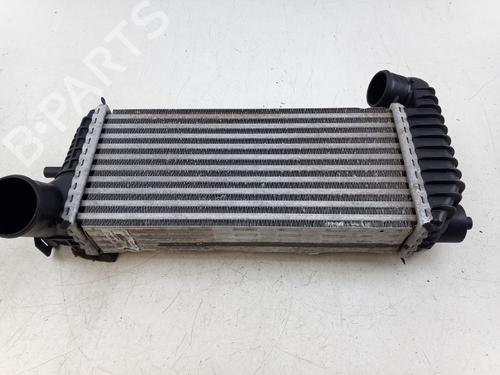 Used Intercooler Intercooler FORD TRANSIT CONNECT V408 Box Body/MPV 1.6 TDCi (95 hp) 36458872 36458872