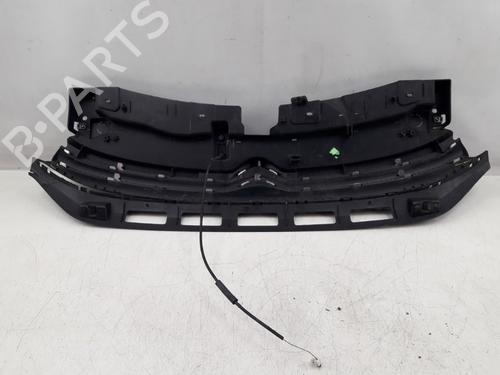 Grille CITROËN C3 III (SX) 1.2 PureTech 82 | BP22508064C40 