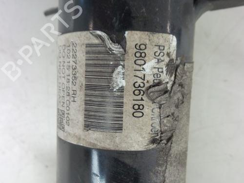 Right front shock absorber CITROËN C3 II (SC_) 1.2 VTi 82 | BP22488418M17 