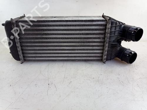 Intercooler CITROËN C3 II (SC_) 1.6 HDi (92 hp) 22491591