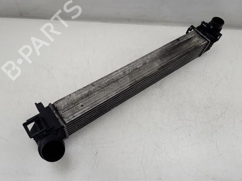 Used Intercooler RENAULT MEGANE III Grandtour (KZ0/1) 1.5 dCi (KZ09, KZ0D, KZ1G, KZ29, KZ14, KZ1W, KZ10, KZ1F,... (110 hp) 22506568