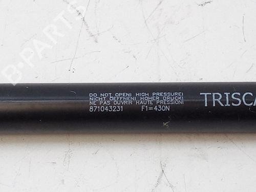 Tailgate lift support HYUNDAI i20 I (PB, PBT) 1.2 | BP22493287C138 